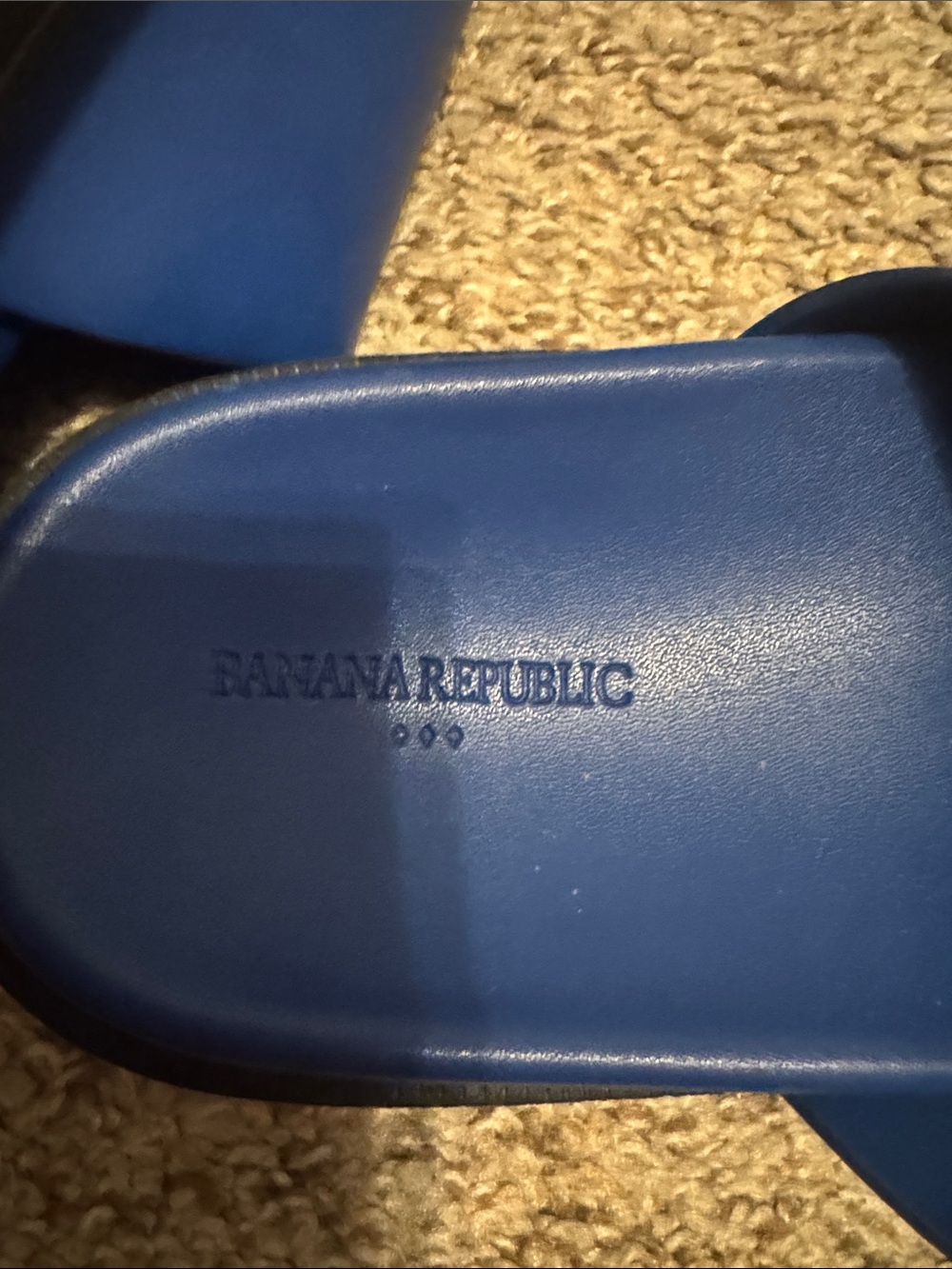 Banana Republic Royal Blue Double Buckle Slide Sandals - Picture 3 of 3